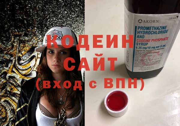прущие крисы Инта