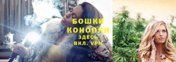 прущие крисы Инта